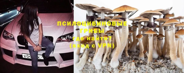 ALPHA PVP Кинешма