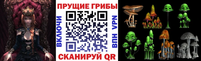 Купить где  Нарткала  Псилоцибиновые грибы прущие грибы 